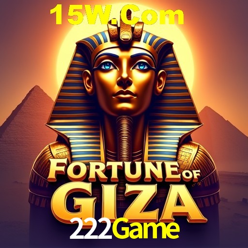 222Game Rio de Janeiro - Bonus Terms
